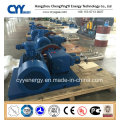 Large Flow Liquid Oxygen Nitrogen Argon LNG CO2 Piston Pump